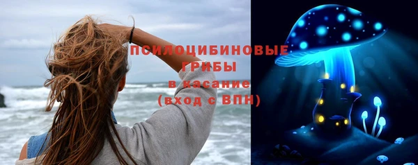 соль ск Богданович