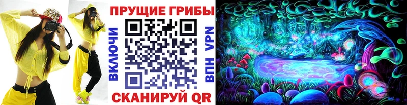 Купить где  Новошахтинск  Псилоцибиновые грибы мухоморы 